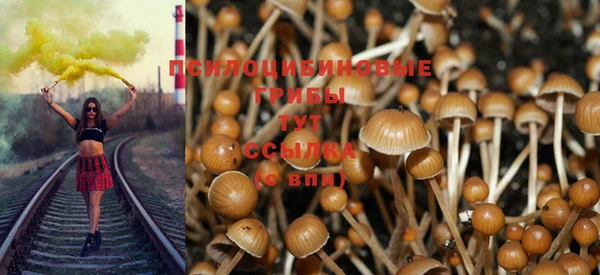 прущая мука Баксан