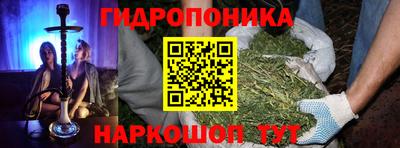 spice Аргун
