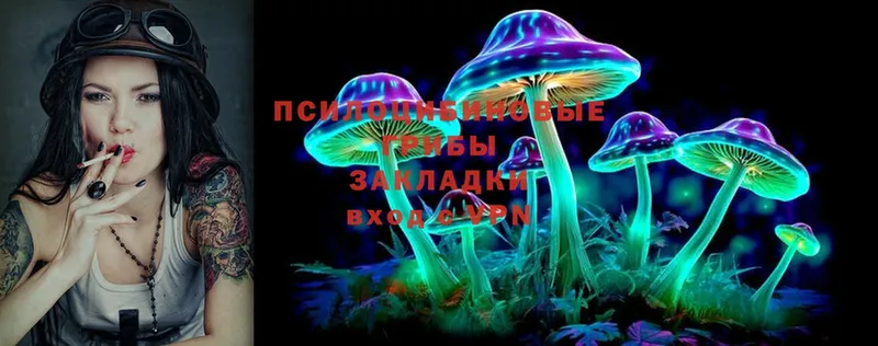 где продают   Видное  Псилоцибиновые грибы Cubensis 