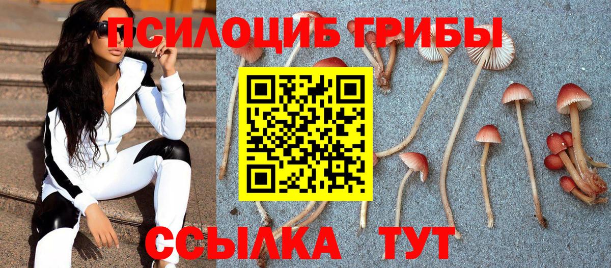 Псилоцибиновые грибы Cubensis  дарнет шоп  Видное 