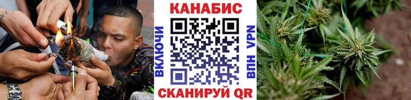 Каннабис планчик Видное