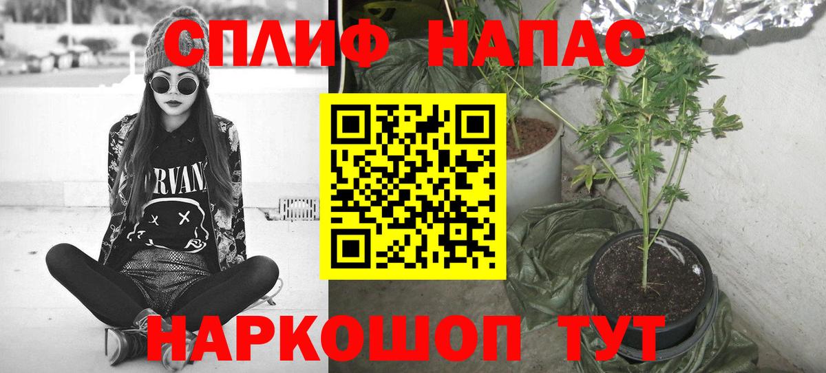 Бошки марихуана Ganja Видное